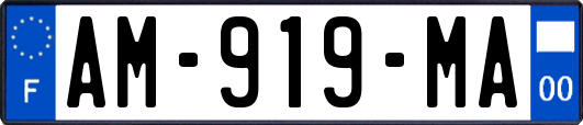 AM-919-MA