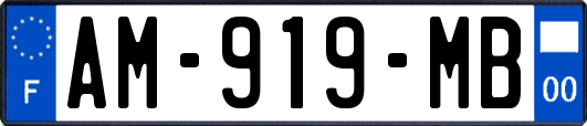 AM-919-MB