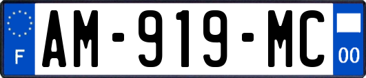 AM-919-MC