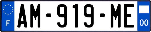 AM-919-ME