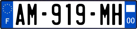 AM-919-MH