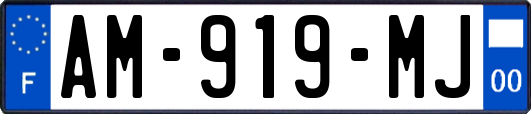 AM-919-MJ
