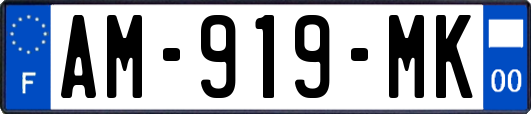 AM-919-MK
