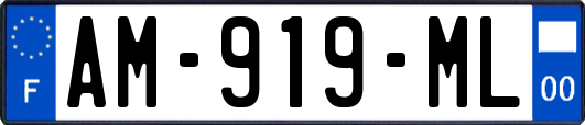 AM-919-ML