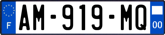 AM-919-MQ