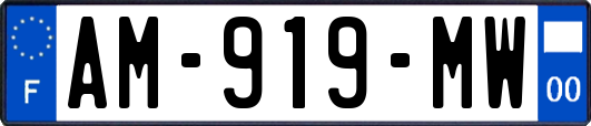 AM-919-MW