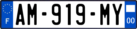AM-919-MY