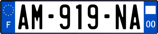 AM-919-NA