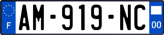 AM-919-NC