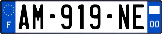 AM-919-NE