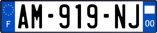 AM-919-NJ