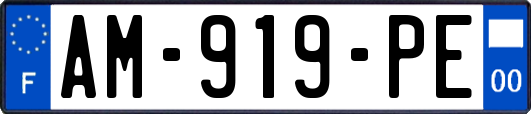 AM-919-PE