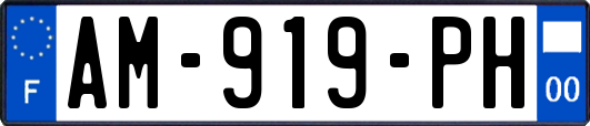 AM-919-PH