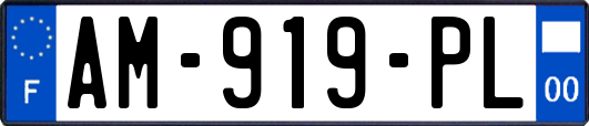 AM-919-PL