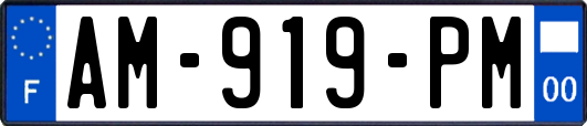 AM-919-PM