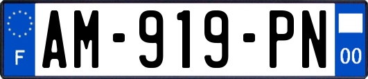 AM-919-PN
