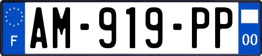 AM-919-PP