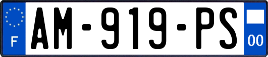 AM-919-PS