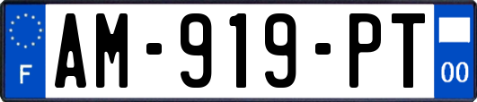 AM-919-PT