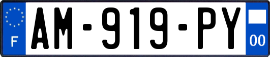 AM-919-PY