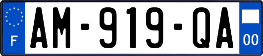 AM-919-QA
