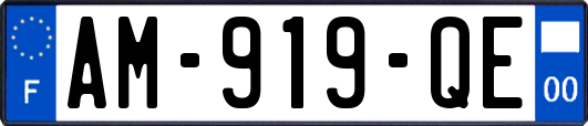 AM-919-QE