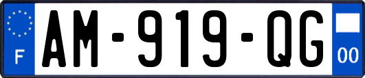 AM-919-QG