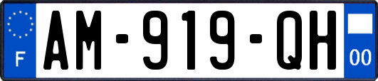 AM-919-QH