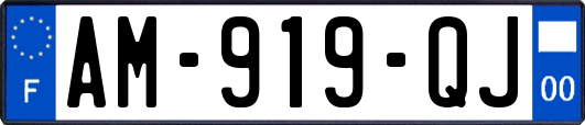 AM-919-QJ