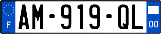 AM-919-QL