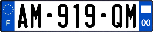 AM-919-QM