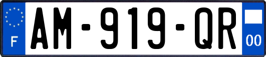 AM-919-QR