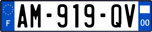 AM-919-QV