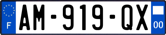 AM-919-QX