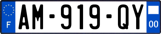 AM-919-QY