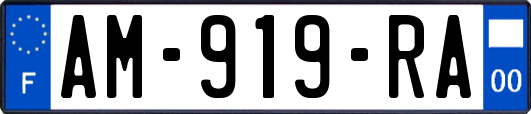 AM-919-RA