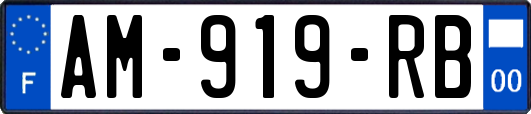 AM-919-RB