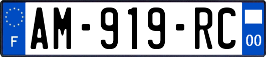 AM-919-RC