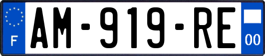 AM-919-RE