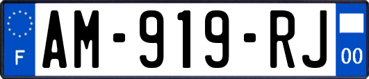 AM-919-RJ