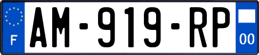 AM-919-RP