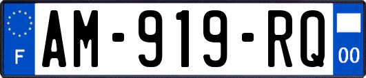 AM-919-RQ