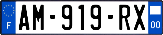 AM-919-RX