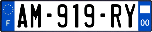 AM-919-RY