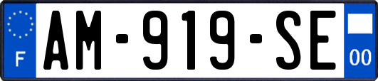 AM-919-SE