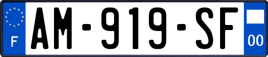 AM-919-SF