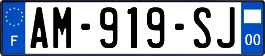 AM-919-SJ