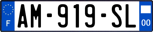 AM-919-SL