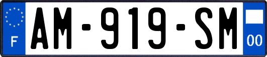 AM-919-SM