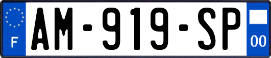 AM-919-SP
